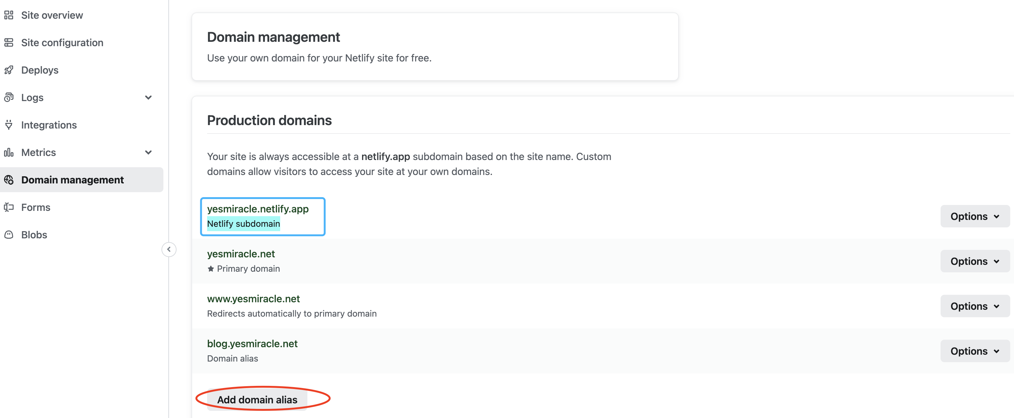 Netlify Domain management 截图