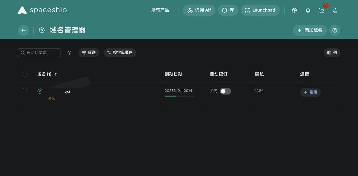 Spaceship 域名管理器列表中的域名名称