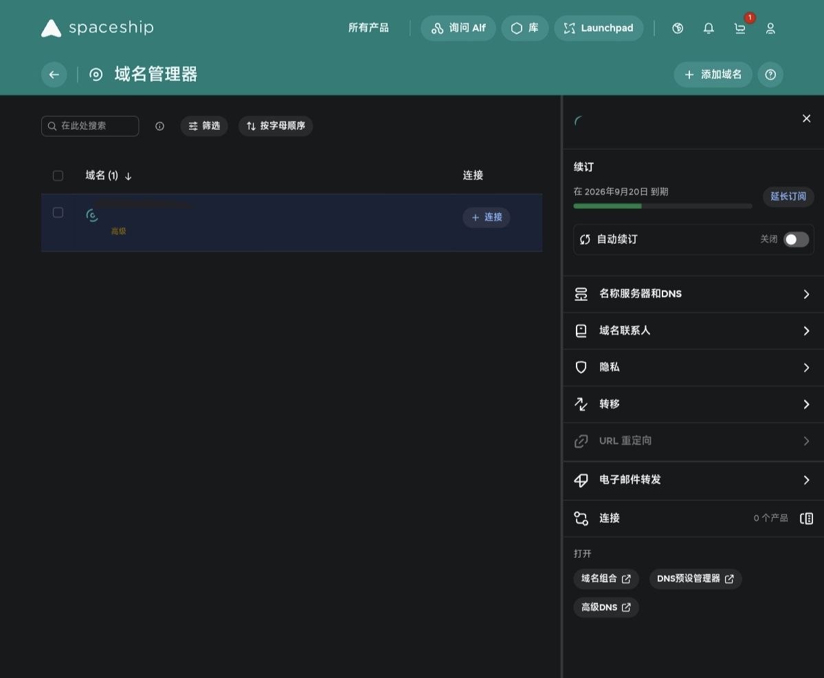 Spaceship 域名详情面板里的名称服务器和 DNS 入口